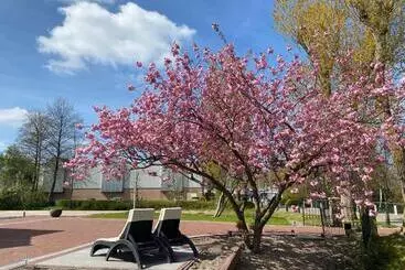 Aamiaismajoitus (B&B) Paauwze