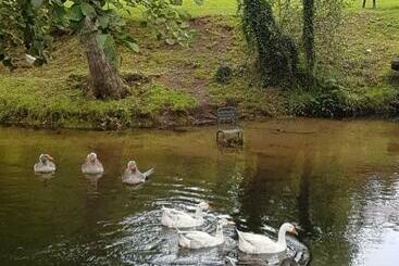 Pension La Maison De Louise