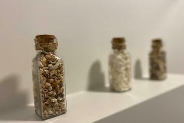 צימר Handbooghoeve Leffinge