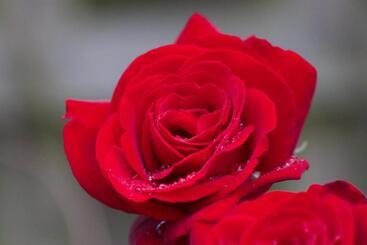 مبيت وإفطار Bagnell Farm Cottage