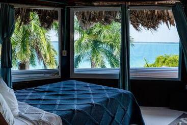 פנסיון Agaveblue