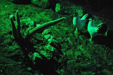 Pensionat Marvin S Place