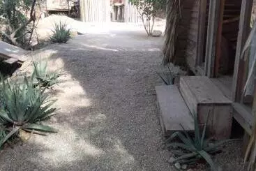 Hostel La Aldea Zipolite