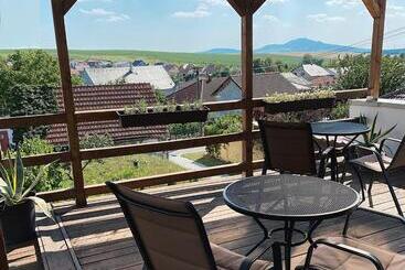 ペンション Penzion Levandule A Palava