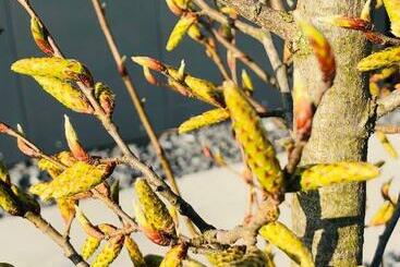 Пансион Guestroom By Farbgestalt