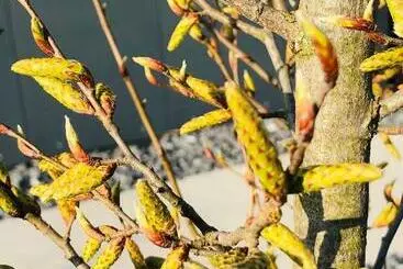 Majatalo Guestroom By Farbgestalt