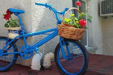 پانسیون Slantse