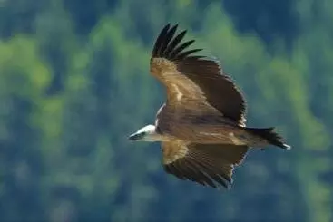 ベッドアンドブレックファースト Entre Terre Et Ciel