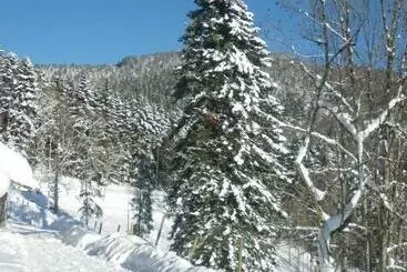 Aamiaismajoitus (B&B) Gite Im Berg