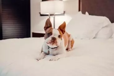 فندق The Seagate