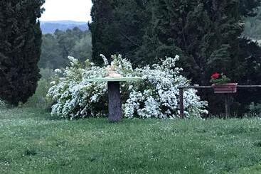 Hotel Colle Cornetto