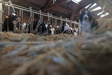 민박 Ferme St Martin