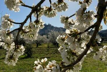 ベッドアンドブレックファースト Rose