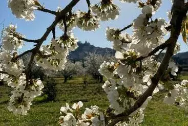 Aamiaismajoitus (B&B) Rose