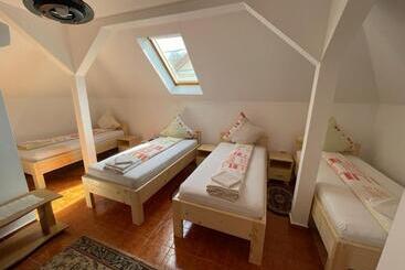 בית מלון כפרי Pensiunea Dora Sasca