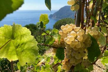 Hotel Villa Pietrafiore