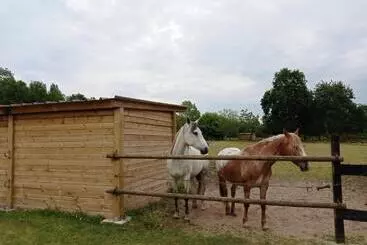 ベッドアンドブレックファースト Le Ranch Amadeus