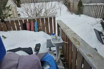 Pensão Cozy Pet Friendly Home