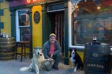 Geoghegans Magpie Bar And B&b