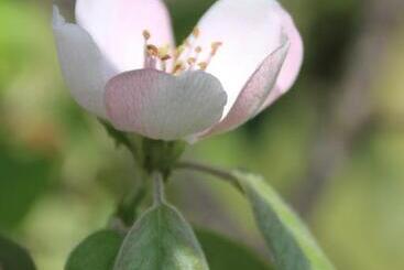 민박 Quinta Luz Do Sol