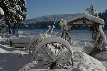 Cedar Mountain Farm Bed And Breakfast Llc