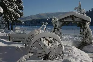 Cedar Mountain Farm Bed And Breakfast Llc