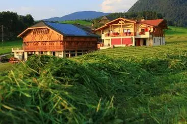 Hotel Radauerhof