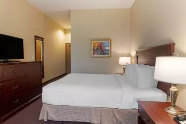 Best Western Plus Fredericton Hotel & Suites