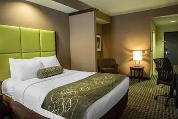 호텔 Comfort Suites New Bern Near Cherry Point