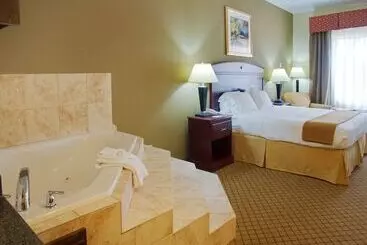 Holiday Inn Express Hotel & Suites Winnie, An Ihg