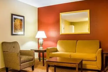 Отель Comfort Inn & Suites