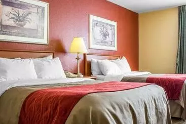 בית מלון כפרי Comfort Inn Green Valley I 19