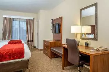 ホテル Comfort Suites Old Town Spring