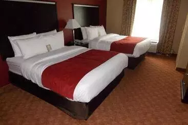 호텔 Comfort Suites Old Town Spring