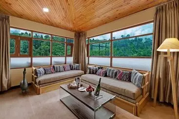 Bravia Hotel Manali Inn