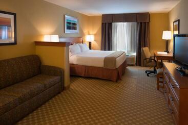 Holiday Inn Express Hotel & Suites Chicago West Roselle, An Ihg
