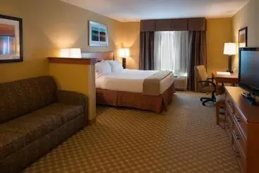 Holiday Inn Express Hotel & Suites Chicago West Roselle, An Ihg