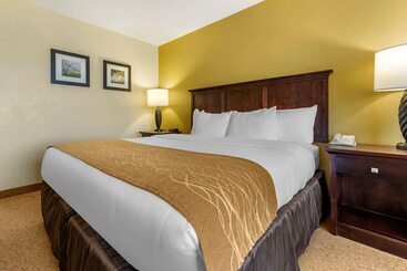 فندق Comfort Inn & Suites