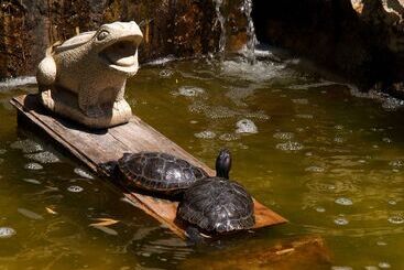 아파트 Vila Palmeira Beach Resort