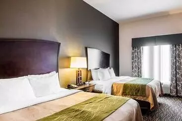 ホテル Comfort Inn & Suites