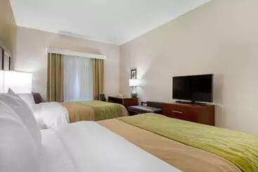 Hotel Comfort Inn & Suites Port Arthurport Neches