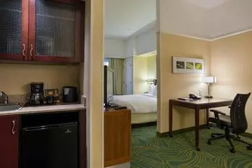 ホテル Springhill Suites St Petersburg Clearwater