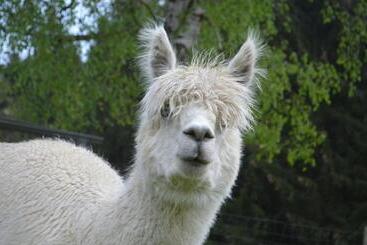 Exenbacher Hof   Pension