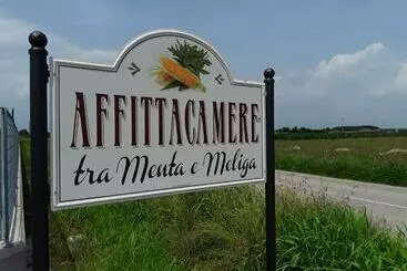 ペンション Tra Menta E Meliga