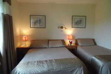 مبيت وإفطار Melrose