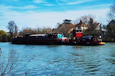 צימר Les Pingouins De La Marne