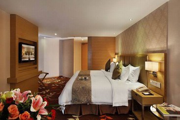 Hotel South China Laguna Shenzhen Luohu