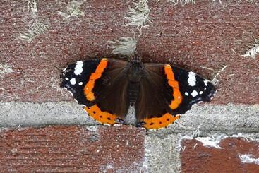 Bed and Breakfast Beekse Brink