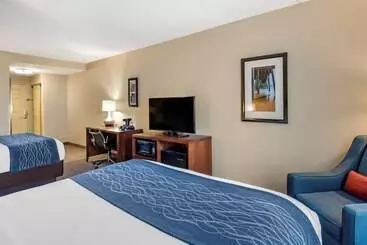 ホテル Comfort Inn & Suites Virginia Beach   Norfolk Airport