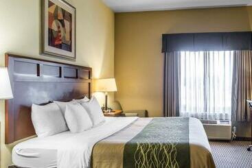 فندق Comfort Inn And Suites